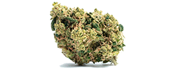 img Pineapple Crack strain