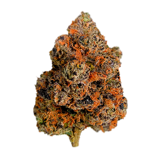 Lemon Cherry Gelato