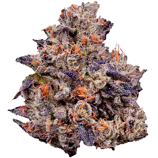 LCGxRS-11
