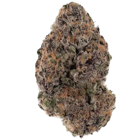 Black Magic