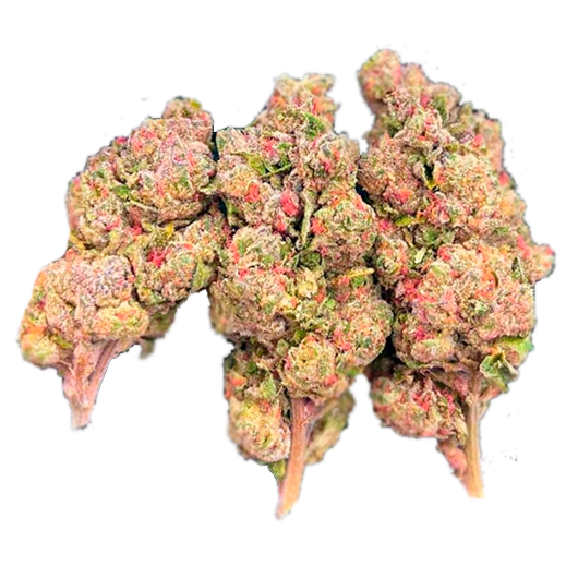 Bubble Gum