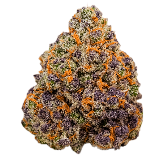 Black Cherry Gelato