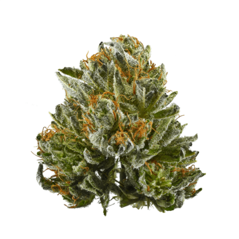 Bubba Kush Cannabis Strain Image