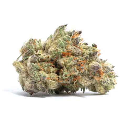 Purple Haze Strain - Cannabis Bud