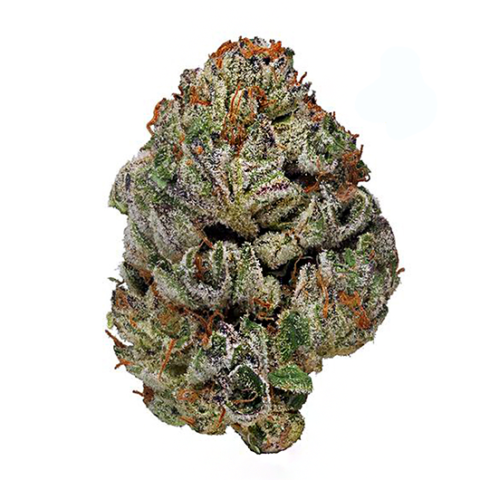 Purple Zkittlez Strain - Pure Cannabis