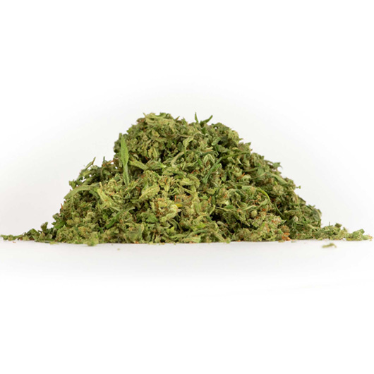 SHAKE | Best cannabis strains