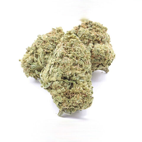 buy weed G 13 Haze original strain online in usa