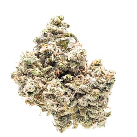 Buy weed online Berry Pie strain in usa