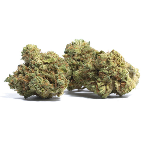 Buy Blue Lobster Weed Strain Information - Pure Cannabis