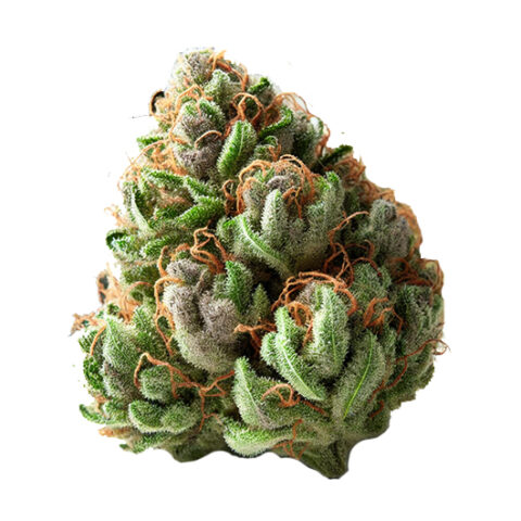 Afghani Kush Strain Cannabis Bud - How to Buy Weed Online