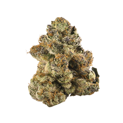 Buy Gelato weed strain online