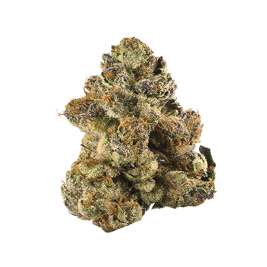 Buy Gelato weed strain online